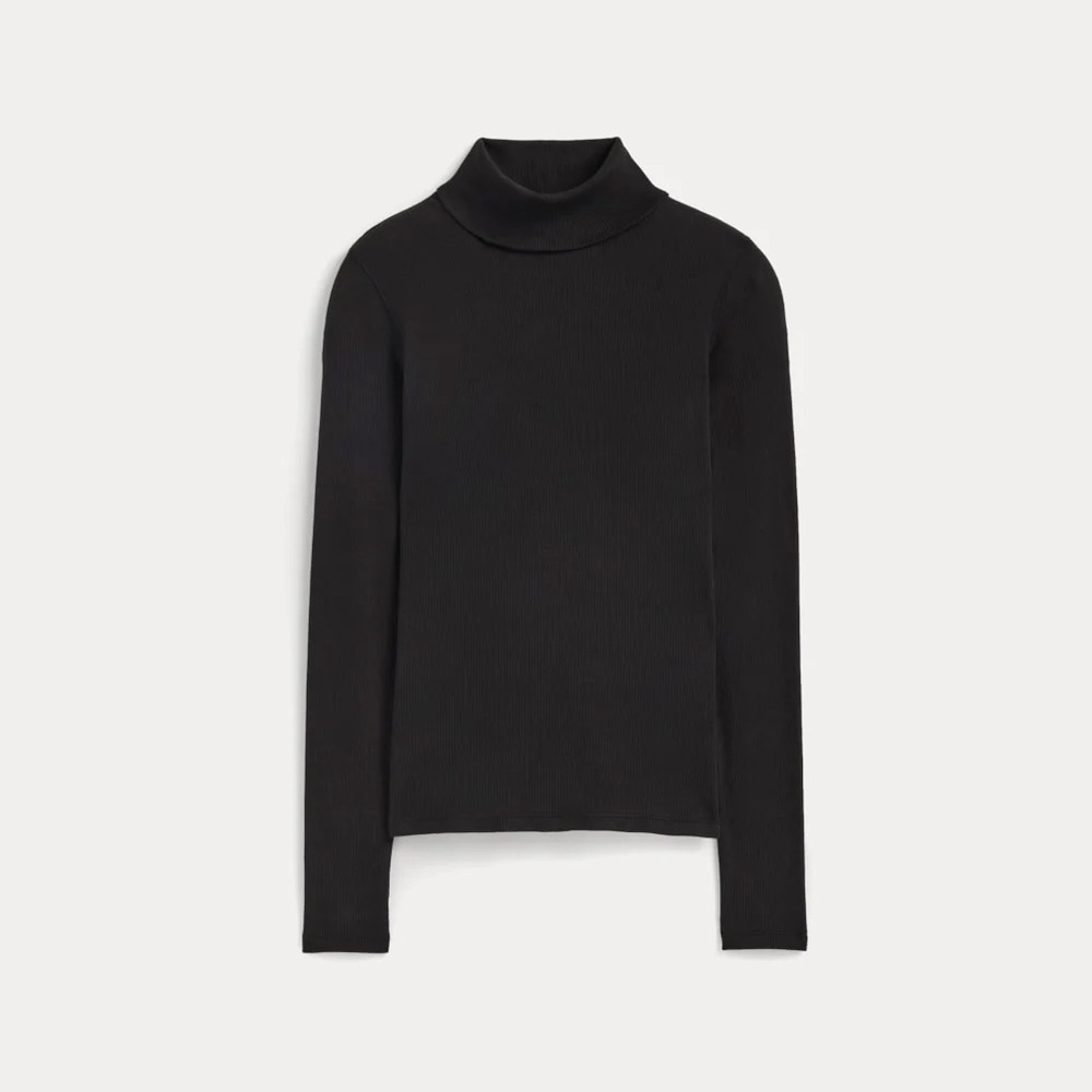 Everlane The Luxe Rib Turtleneck
